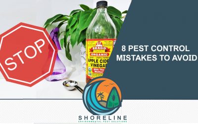 8 Pest Control Mistakes to Avoid