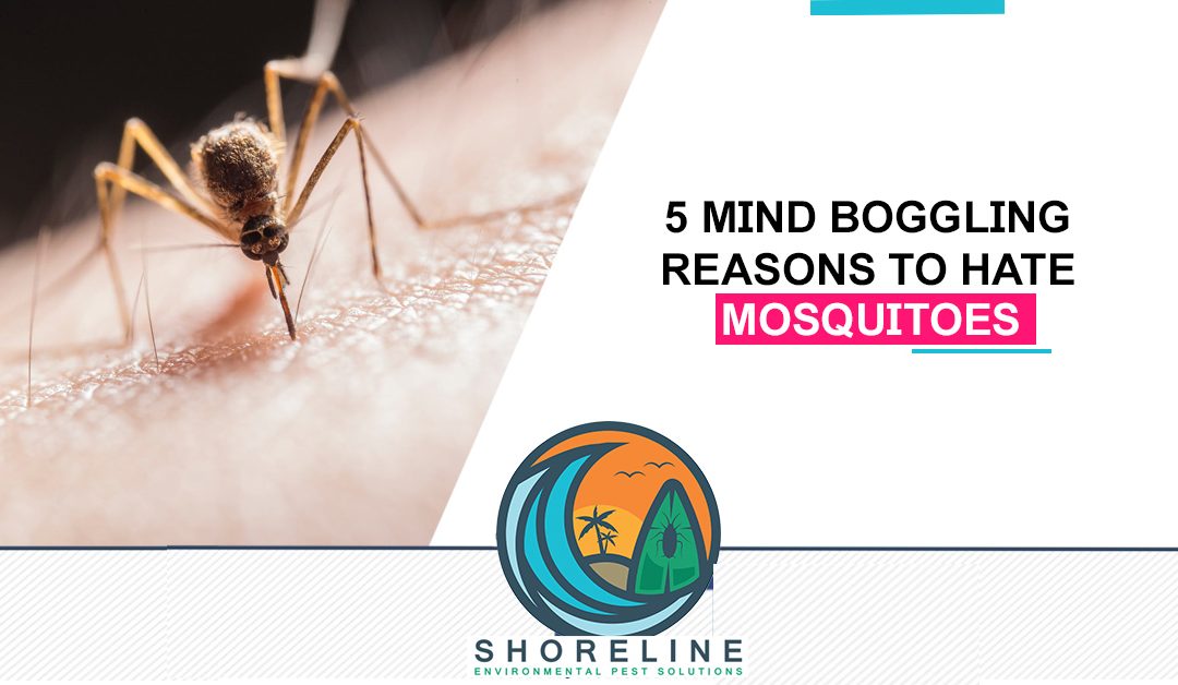 5 Mind Boggling Reasons to Hate Mosquitoes