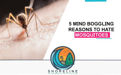 5 Mind Boggling Reasons to Hate Mosquitoes