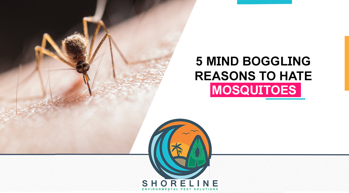 5 Mind Boggling Reasons to Hate Mosquitoes