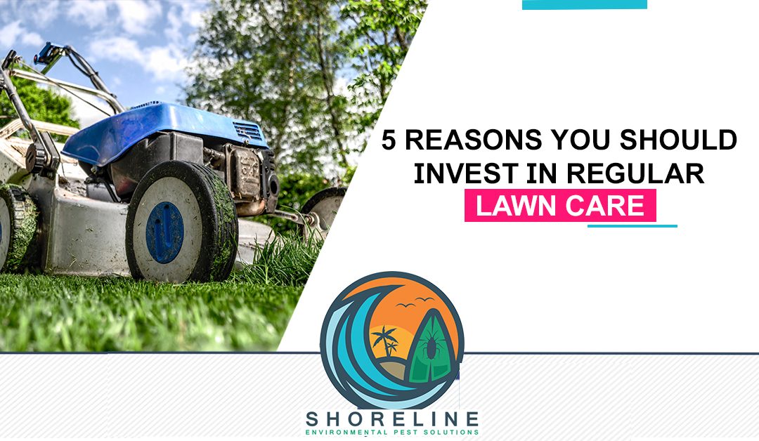 5 Reasons You Should Invest In Regular Lawn Care