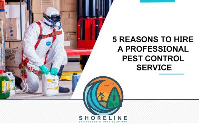 5 Reasons to Hire a Professional Pest Control Service