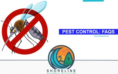 Pest Control: Frequently Asked Questions