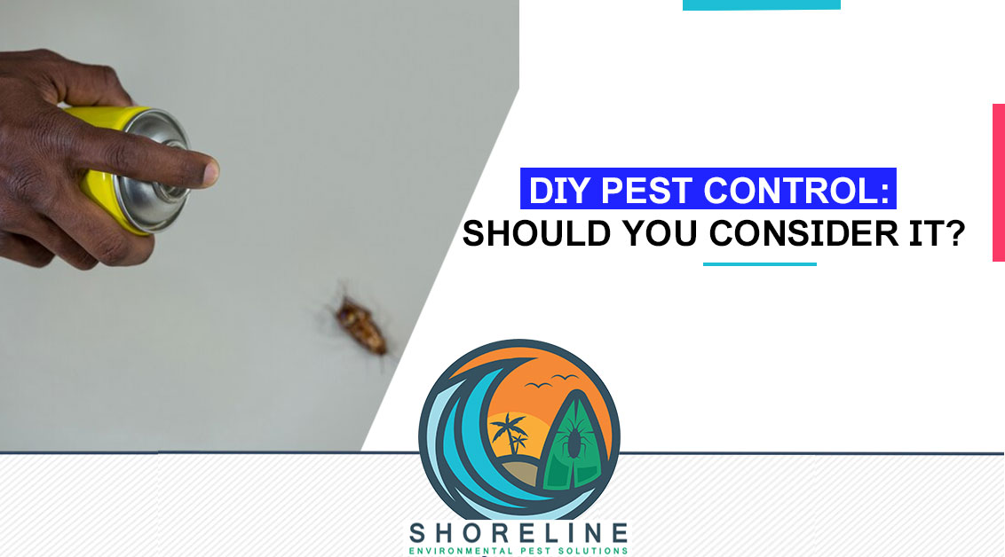 DIY Pest Control: Should You Consider It