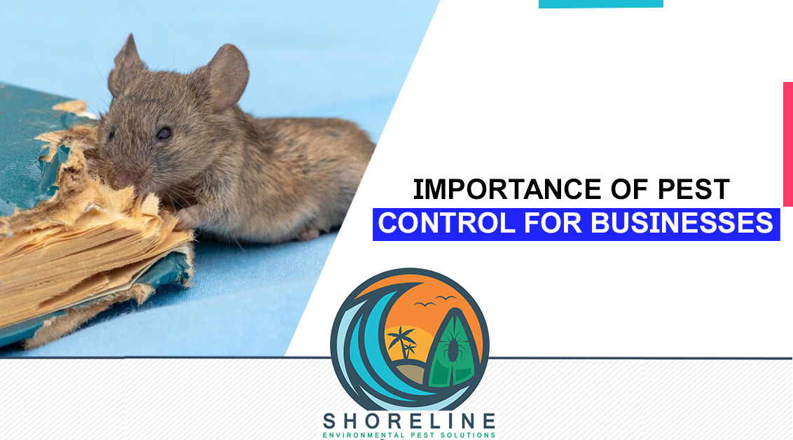 Importance of Pest Control for Businesses