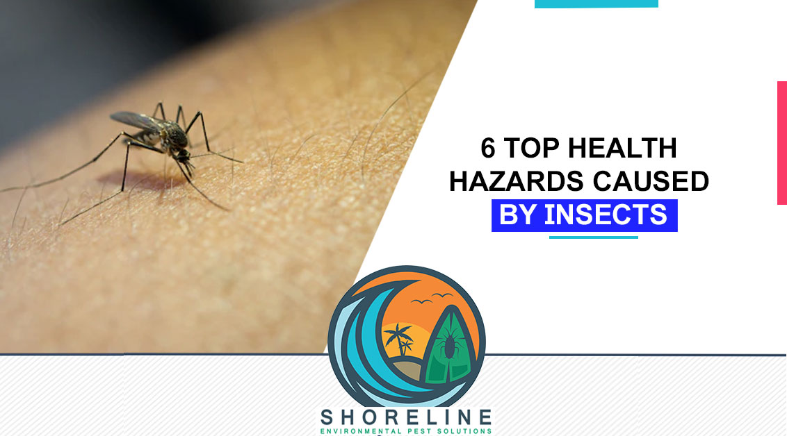 6 Top Health Hazards Caused by Insects