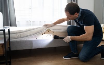 How to know if you have a bed bug infestation