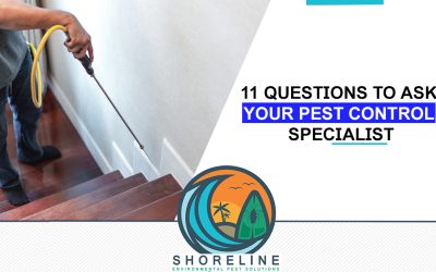 11 Questions You Need to Ask Your Pest Control Specialist to Get the Best Service