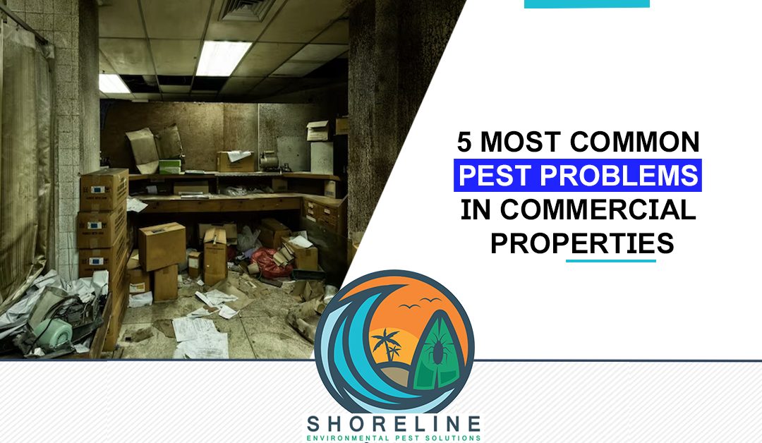 5 Most Common Pest Problems In Commercial Properties