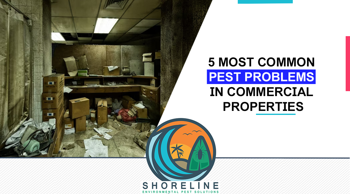 5 Most Common Pest Problems In Commercial Properties