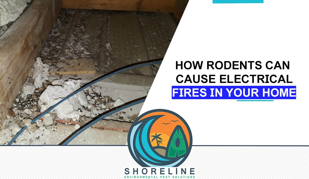 How Rodents Can Cause Electrical Fires in Your Home