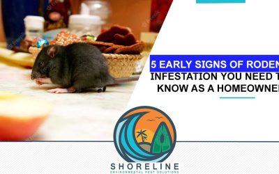 5 Early Signs of a Rodent Infestation You Need to Know as a Homeowner