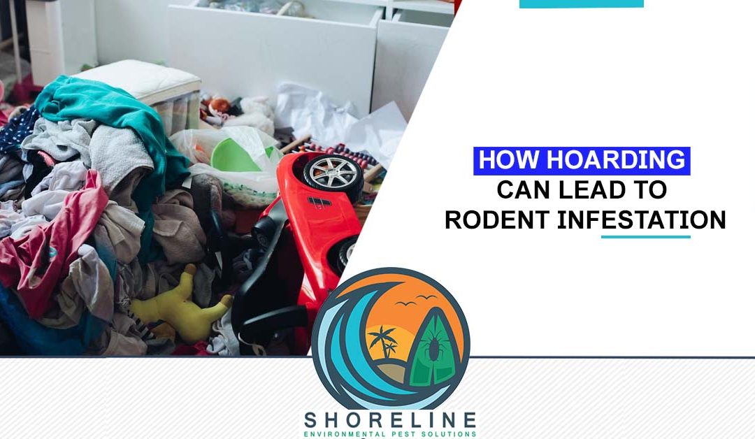 How Hoarding Can Lead to Rodent Infestation