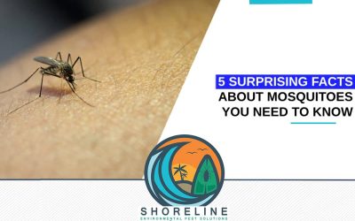 5 Surprising Facts About Mosquitoes You Need to Know