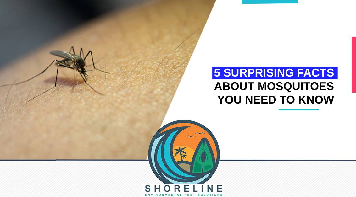 5 Surprising Facts About Mosquitoes You Need to Know