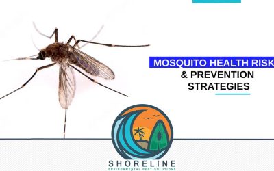 The Impact of Mosquitoes: Understanding the Health Risks & Prevention Strategies