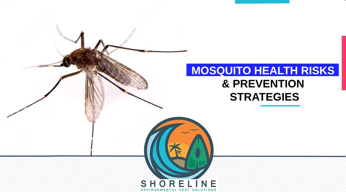 Mosquito Health Risks & Prevention Strategies