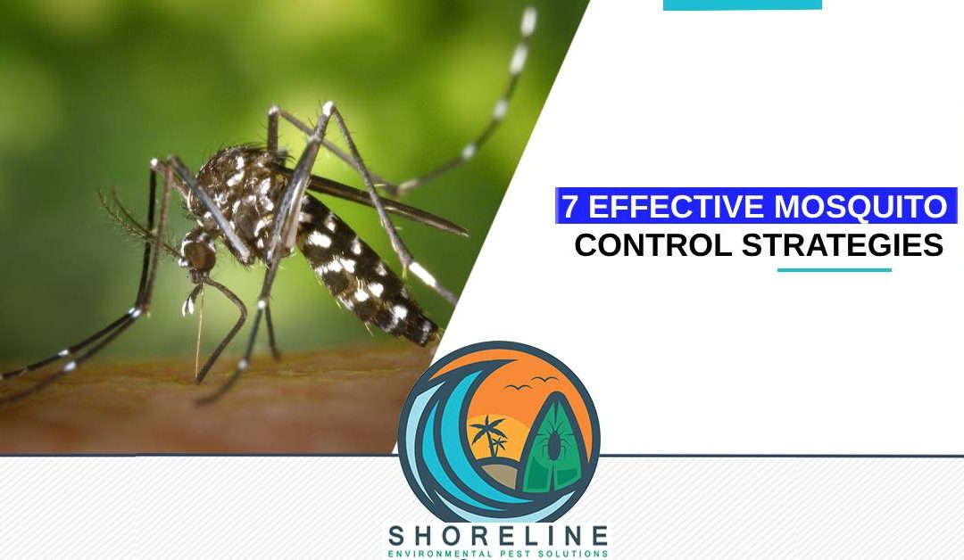 7 Effective Mosquito Control Strategies for a Bite-Free Summer