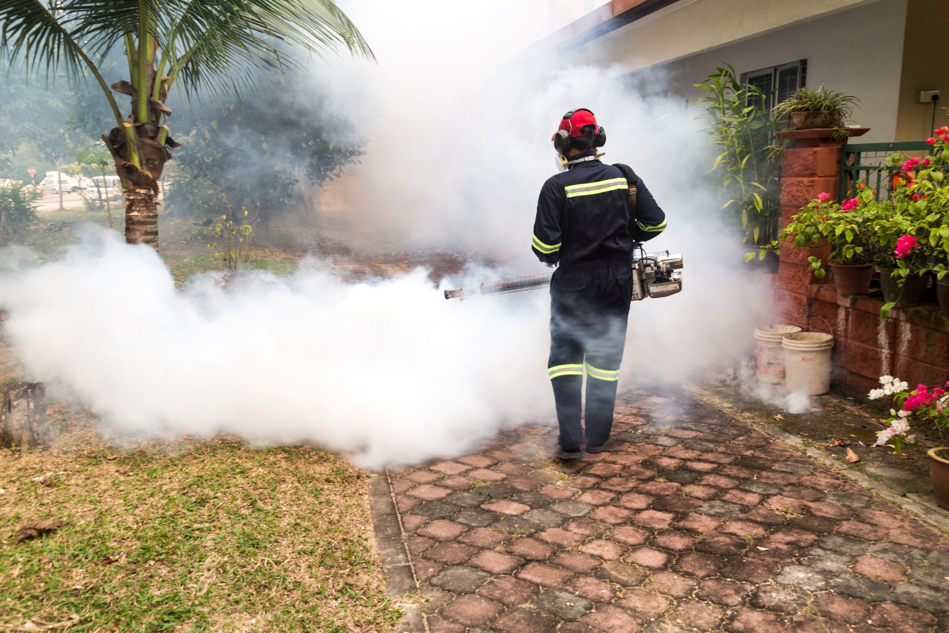 Mosquito lawn spraying. Mosquito control Boca Raton. 