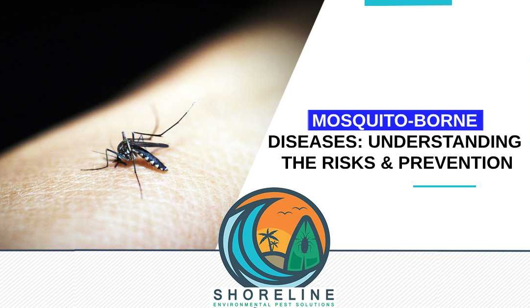 Mosquito-Borne Diseases: Understanding the Risks and Prevention