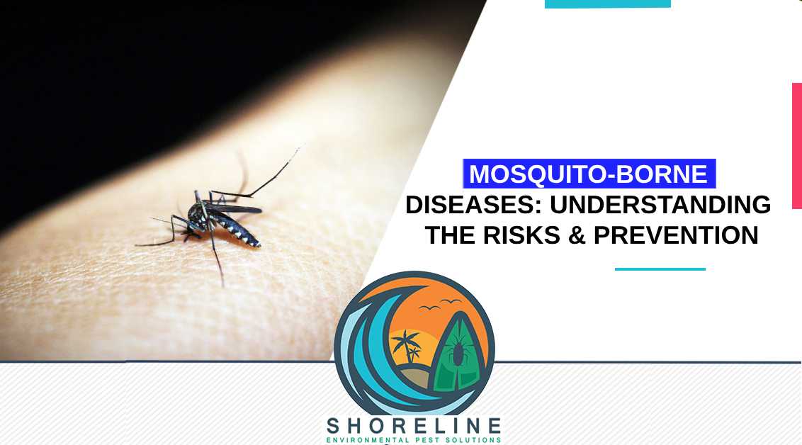 Mosquito-Borne Diseases: Understanding the Risks and Prevention