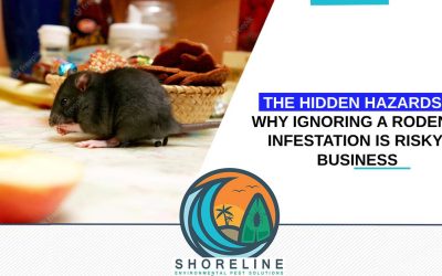 The Hidden Hazards: Why Ignoring a Rodent Infestation is Risky Business