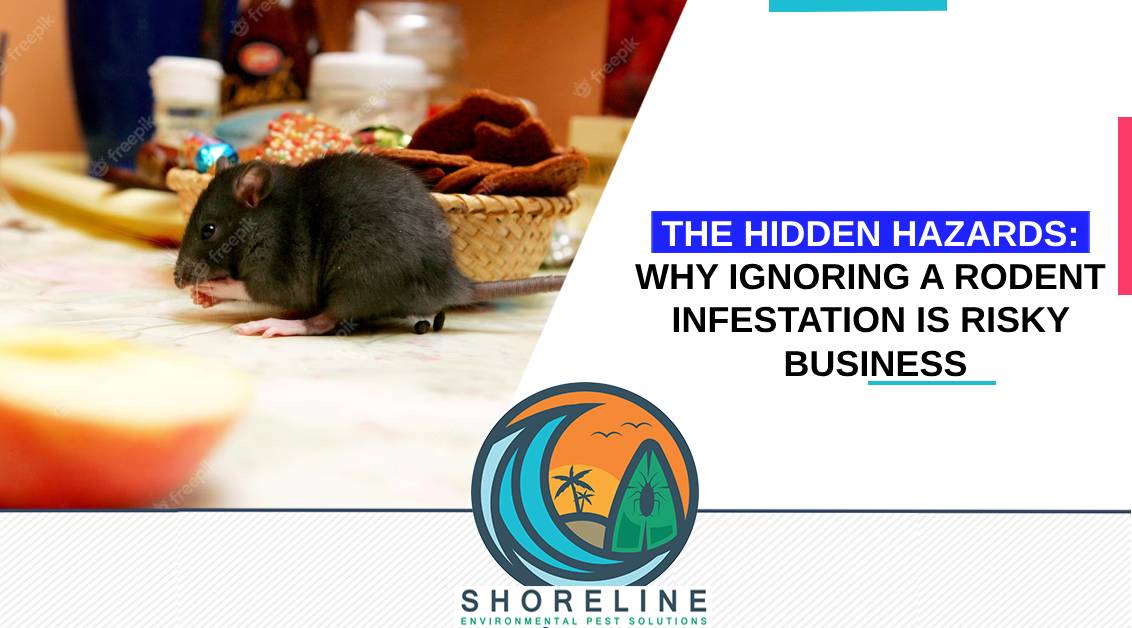 The Hidden Hazards: Why Ignoring a Rodent Infestation is Risky Business