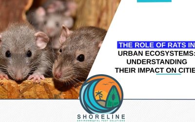 The Role of Rats in Urban Ecosystems: Understanding Their Impact on Cities