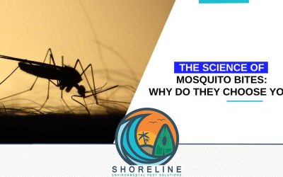 The Science of Mosquito Bites: Why Do They Choose You?