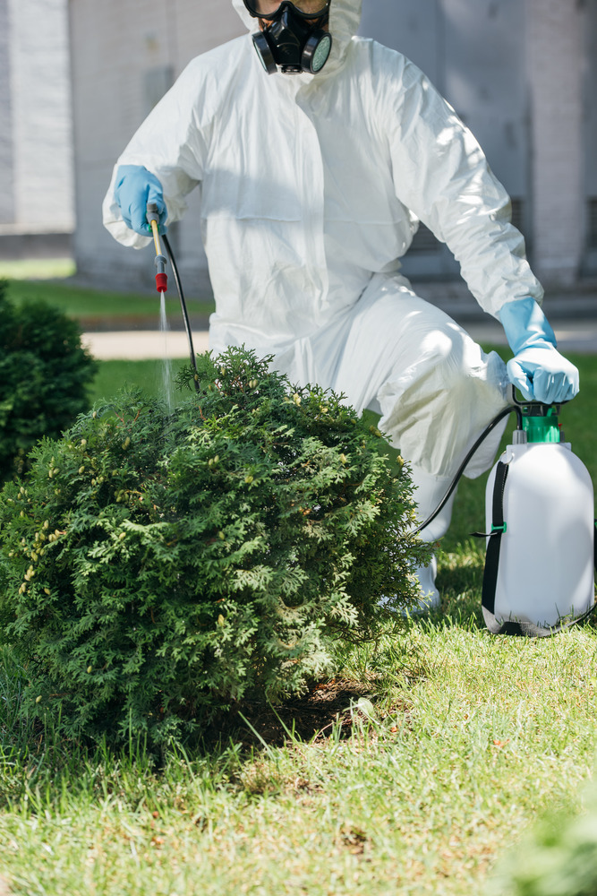 cropped-image-of-pest-control-worker-spraying-pest-2024-11-18-17-26-55-utc (1)