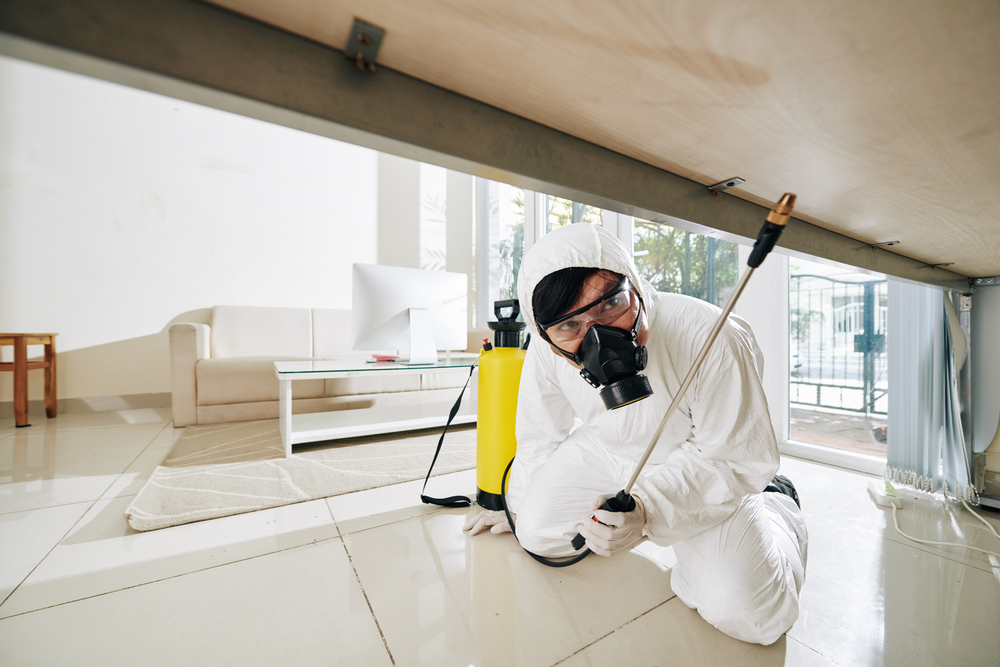 Disinfecting hardly accessible surfaces