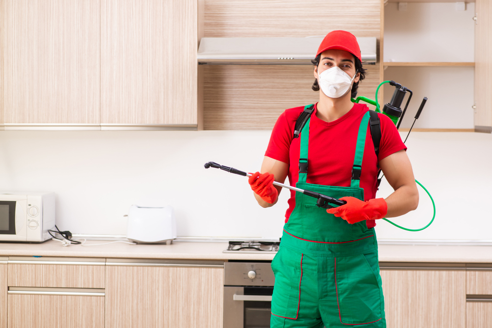 Pest control in Juno Beach house 